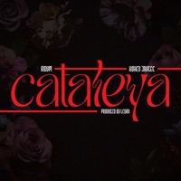 Cataleya (feat. Kohen Jaycee & Ledra) - Single - Ridym