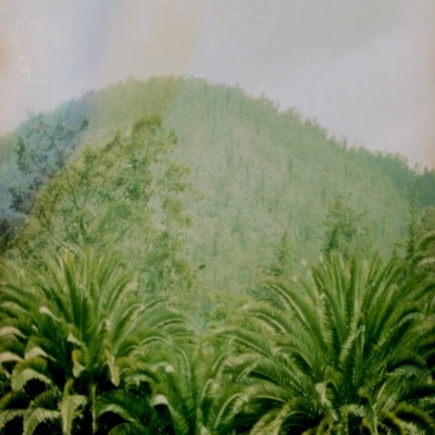 Memory Studies (feat. bristles on the carapace)