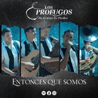 Entonces Que Somos - Single - Los Profugos de Corral de Piedra