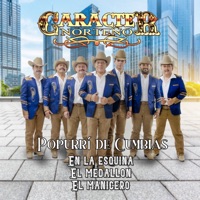 Popurrí de Cumbias: En la Esquina/ El Medallon/ El Manicero - Single - Carácter Norteño