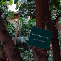 Microbes - Single - Constant Lyt