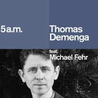 5 A.m. (feat. Michael Fehr) - Single - Thomas Demenga