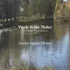 Wade in the Water
