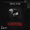 Stream & download Torture - Single