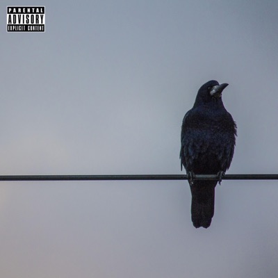 el cuervo - Single