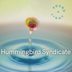 Hummingbird Syndicate - Memo from Mars