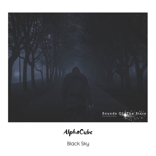 Black Sky - Single