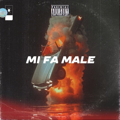 Mi fa male - Single