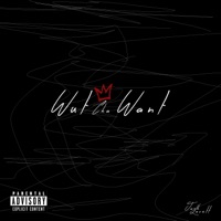Wut Cha Want - Single - Iamjoshlovett