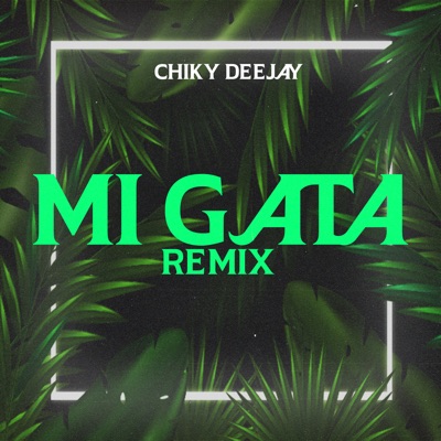 Mi Gata (Remix) - Chiky Dee Jay: Song Lyrics, Music Videos & Concerts