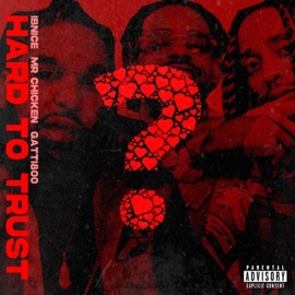 Hard To Trust (feat. Gatti800 & Mr.Chicken) Ibnice