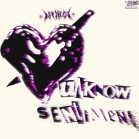 Unknow Sentiment - EP - RIIP DIEGO