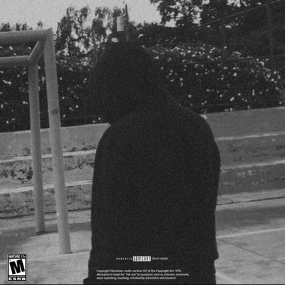 Modo Avión - Single