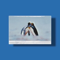 First Snow - Single - Lumini