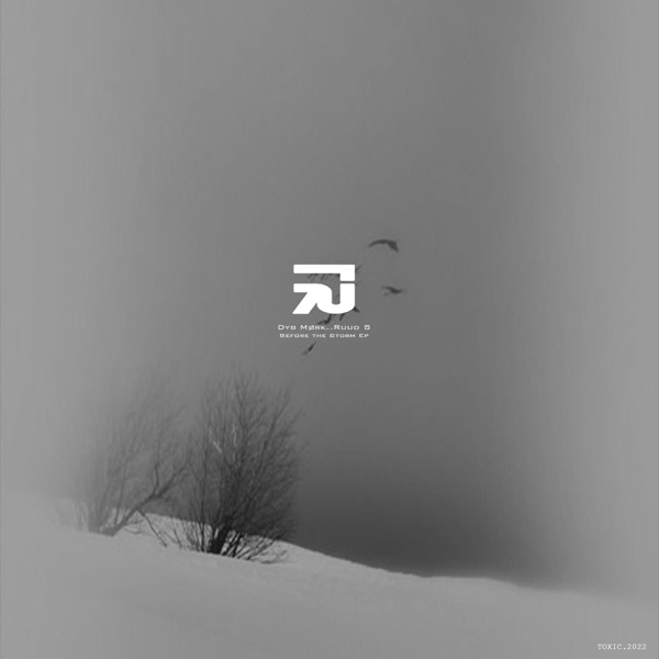 Before the Storm - Single