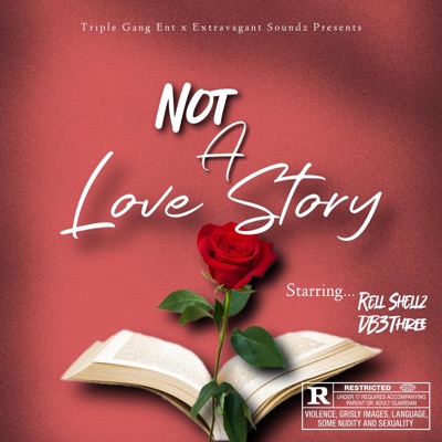Not a Love Story (feat. DB3Three) - EP
