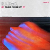 Karma artwork