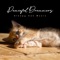 Young Galaxy - Sleepy Cat Music lyrics