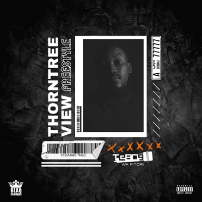 Thorntree View Freestyle - Single