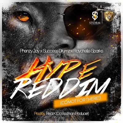 Hype Riddim (Comot from there) (feat. Successful Drumz & Raychelle Sparks) - Single