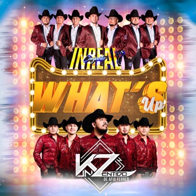 What's Up - Single
