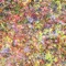 Sherpa - Le Loup lyrics