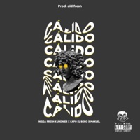 CÁLIDO (feat. Jhonier, Cafo & Makuel) - Single - Nigga Fre$h