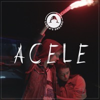 Acele - Carla's Dreams