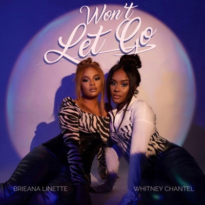 Won't Let Go - Single
