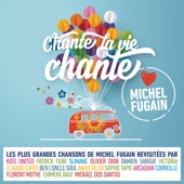 Une belle histoire (Love Michel Fugain) artwork