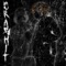 Crash It! (feat. Talinwya) - Rsieh Raxan lyrics
