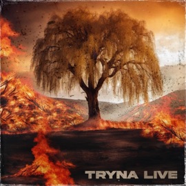 TRYNA LIVE (feat. Agi-State, Vince Duysters, Kam Beats & TReBeats) [Live] K4m