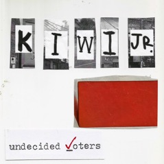 Undecided Voters - Single