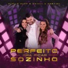 Perfeito Pra Ficar Sozinho (Ao Vivo) - Single