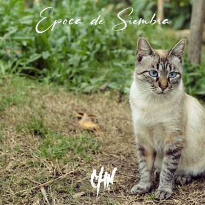 Época de Siembra (feat. Bernard Dufour & Clara Cé) - Single