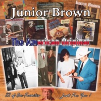 Junior Brown (The American Original) 22 Favorite Songs - Junior Brown