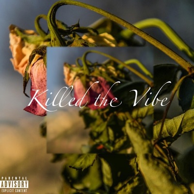 Killed the Vibe - Single