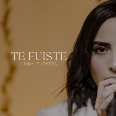 Te Fuiste (Remix) - Single