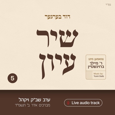 Shir Iyun Adar B - שיר עיון אדר ב (feat. Meilech Braunstein & Yumi Gelb) - EP
