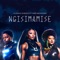 Ngisimamise (feat. Sindi Nkosazana) - DJ Zinhle & Mvzzle lyrics