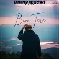 Bin Tere - Single - Aman Darya Band, Sidhant Choudhury & Vipin Lyricist