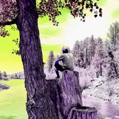 收听 Kongo Alexander、观看音乐视频、阅读小传、查看巡演日期等 ！