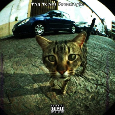 Tag Team Freestyle (feat. Excel Himself, TheSameGuy & Laizey Velocity) - Single