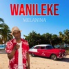 Wanileke - Single