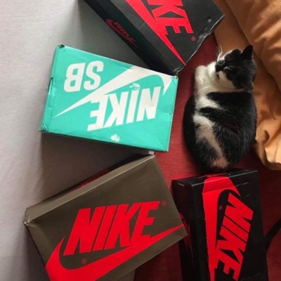 Wydam? To Zarobię - Single