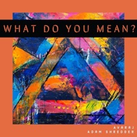 What Do You Mean? (feat. Adam Shredder) - Single - Avaraj