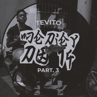Medley do 14, Pt. 3 - Single - Tevito
