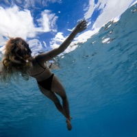 Let's Swim - Single - Stoto