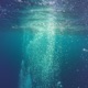Deeply Relaxing Underwater Sounds and White Noise for Study and Focus Single