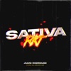 Sativa Rkt - Single